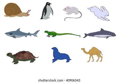 animals.