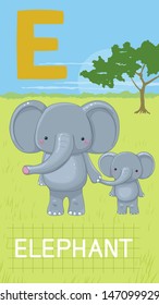 Animals ABC, letter E. ELephant in alphabet card. 
