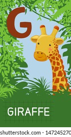 Animals ABC, letter G. Giraffe in alphabet card. 