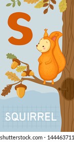 Animals ABC, letter S. Squirrel, acorns and forest elements in alphabet card.