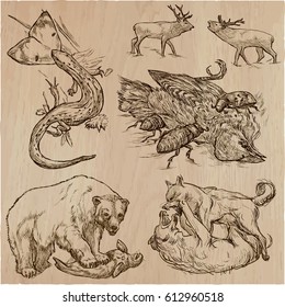 Animals in action around the World - Predators. An hand drawn vector illustrations. Collection, set. Easy editable in layers and groups. The colored background is isolated.