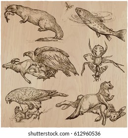 Animals in action around the World - Predators. An hand drawn vector illustrations. Collection, set. Easy editable in layers and groups. The colored background is isolated.