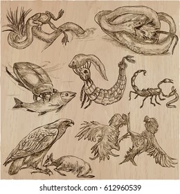 Animals in action around the World - Predators. An hand drawn vector illustrations. Collection, set. Easy editable in layers and groups. The colored background is isolated.