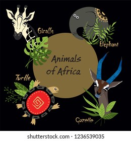 Animals of Africa