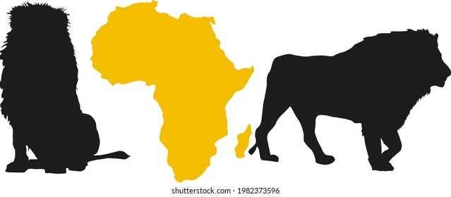 animals of africa on the background of the continent, lion