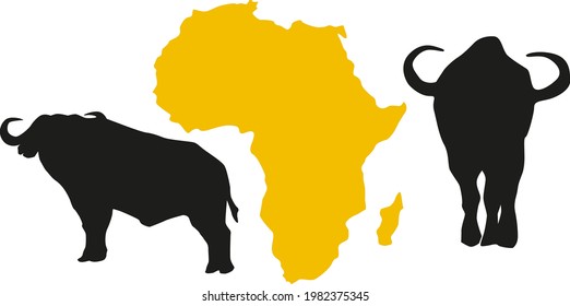 animals of africa on the background of the continent, buffalo
