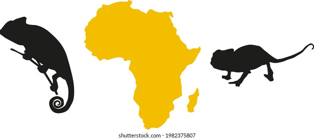 animals of africa on the background of the continent, chameleon