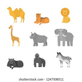 Animals from Africa set. Collection of wildlife in safari. Elephant and girafee, tiger and lion. Isolated flat vector illustration