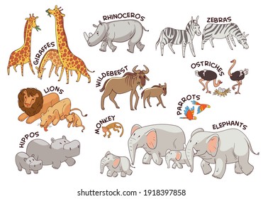 Animals of the African savannah. Set. Funny cartoon character. Vector illustration. Isolated on white background