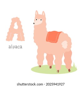 Alfabeto de animales. A por la alpaca. Ilustración vectorial plana sobre fondo blanco. Un divertido animal de dibujos animados. Los niños no reciben educación. Aprendiendo vocabulario inglés. Tarjeta flash del alfabeto zoológico