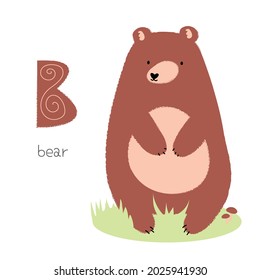 Animals alphabet. B for bear. Flat vector illustration on white background. Funny cartoon animal. Kids abc education. Learning English vocabulary. Zoo alphabet flash card