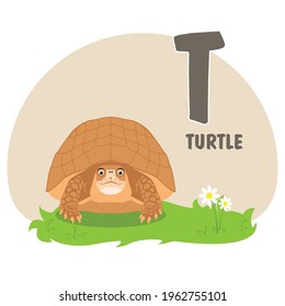 Animals alphabet. Cute 
turtle and daisy on green grass with pine nut backround. Vector illustration for teaching children a foreign language and animals.