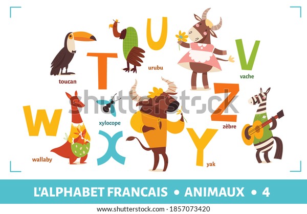 Animals Alphabet French Language Part 4 Stock Vector Royalty Free 1857073420 Shutterstock