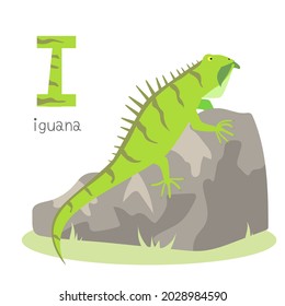 Alfabeto de animales. Yo por iguana. Ilustración vectorial plana sobre fondo blanco. Un divertido animal de dibujos animados. Los niños no reciben educación. Aprendiendo vocabulario inglés. Tarjeta flash del alfabeto zoológico