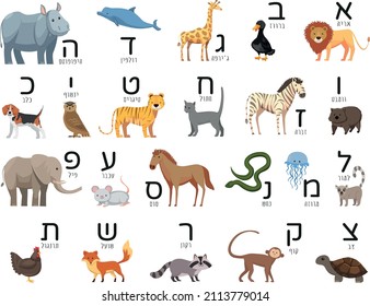  Animals alphabet for kids education.  HEBREW