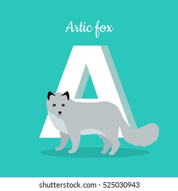 Animals alphabet. Letter - A. White arctic fox near letter. Alphabet learning chart with animal illustration for letter and animal name. Vector zoo alphabet with cartoon animal on blue background