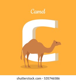 Animals Alphabet. Letter - C. Brown Camel Stands Near Letter. Alphabet Learning Chart With Animal Illustration For Letter And Animal Name. Vector Zoo Alphabet With Cartoon Animal On Orange Background