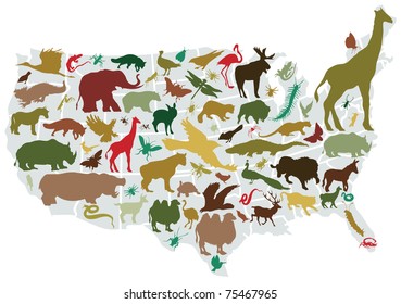 animals of america
