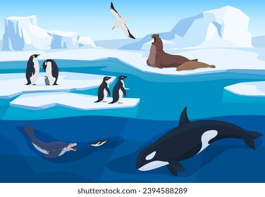 Animals from the Antarctic in a natural environment on icebergs cartoon style. Terrestrial and underwater animals. Predators and birds of cold regions. Vector illustration