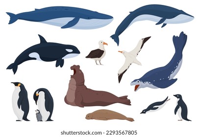 Animales del estilo de dibujos animados de la Antártida. Animales terrestres y submarinos. Predadores y aves de regiones frías. Ilustración del vector