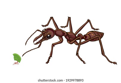 Animals and Ants compare in centimeter aan inches proportions Concept.. Illustration, shape, line, art, retro graphic style and animal in vector isolated on background