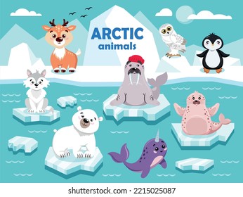 Tiere der Arktis. Bär, Hirsch, Eule, Narzelle, Pinguin, Walrus, Wolf, Robbe.