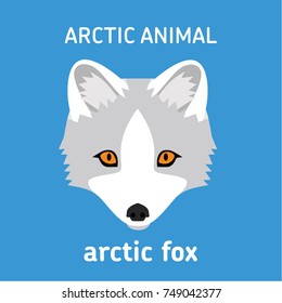 Animals of the Arctic. The head Arctic Fox. Vector Set of polar mammals. Flat style illustration