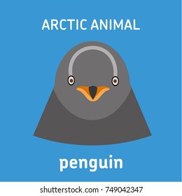 Animals of the Arctic. The head penguin. Vector Set of polar mammals. Flat style illustration