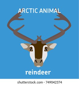 Animals of the Arctic. The head reindeer. Vector Set of polar mammals. Flat style illustration