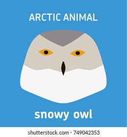 Animals of the Arctic. The head of the snowy owl. Vector Set of polar mammals. Flat style illustration