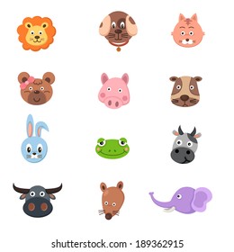 Animals around the world