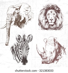 Animals around the World (Africa)  Collection hand drawn illustrations (originals  no tracing)  Description: Each drawing comprise one color