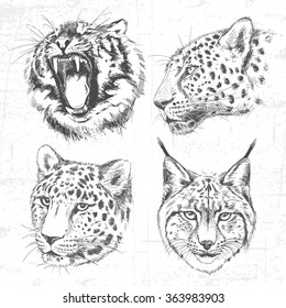 Animals around the World (Africa). Collection of hand drawn illustrations (originals, no tracing). Description: Each drawing comprise of one color. See also other sets of animals.