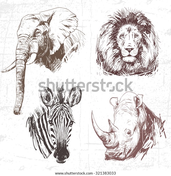 世界中の動物 アフリカ 手描きのイラスト オリジナル トレースなし のコレクション 説明 各図面は1つの色で構成されます のベクター画像素材 ロイヤリティフリー