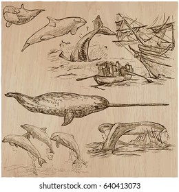 Animals around the World - CETACEANS. Collection of an hand drawn vector illustrations. Freehand sketches. Line art. Each drawing comprise of a few layers of outlines. Background is isolated.