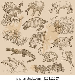 ANIMALS around the World. Collection of an hand drawn vector illustrations. Freehand sketches, Line art. Each drawing comprise of a few layers of lines. Colored background is isolated. Easy editable.