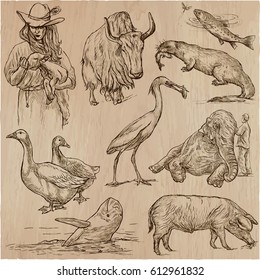 Animals around the World. Collection of an hand drawn vector illustrations. Freehand sketches. Line art. Each drawing comprise of a few layers of lines. Colored background is isolated. Easy editable.