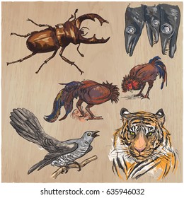 Animals around the World. Collection of an hand drawn vector illustrations. Freehand sketches. Colored line art. Each drawing comprise of a few layers of outlines. Background texture is separated.