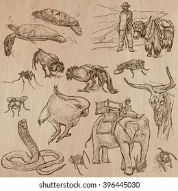 ANIMALS around the World. Description - Hand drawn vectors, freehand sketching. Editable in layers and groups. Background is isolated. All animals are named inside the vector file.