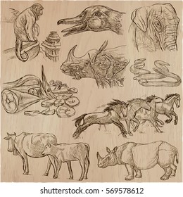 Animals around the World. An hand drawn vector illustrations. Collection. Editable in layers and groups.