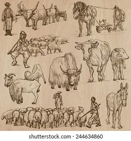 Animals around the World (part 25    FARM ANIMALS)  Collection an hand drawn vector illustrations  Each drawing comprise two three layers  the colored background is isolated  Easy editable 