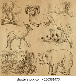 Animals around the World (part 3). Collection of hand drawn illustrations (originals, no tracing). Description: Each drawing comprise of two layers of outlines, colored background is isolated.