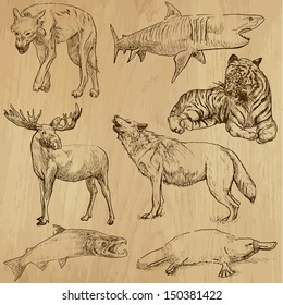 Animals around the World (part 4). Collection of hand drawn illustrations (originals, no tracing). Description: Each drawing comprise of two layers of outlines, colored background is isolated.