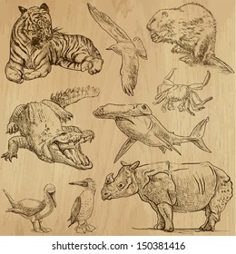 Animals around the World (part 5). Collection of hand drawn illustrations (originals, no tracing). Description: Each drawing comprise of two layers of outlines, colored background is isolated.