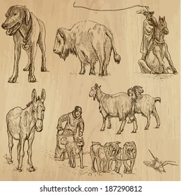 Animals around the World (set no. 9) - Collection of an hand drawn illustrations. Description: Each drawing comprise of two layer of outlines, colored background is isolated.