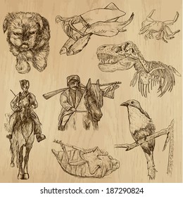 Animals around the World (set no. 14) - Collection of an hand drawn illustrations. Description: Each drawing comprise of two layer of outlines, colored background is isolated.