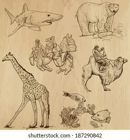 Animals around the World (set no. 16) - Collection of an hand drawn illustrations. Description: Each drawing comprise of two layer of outlines, colored background is isolated.