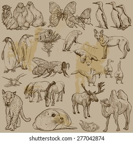 ANIMALS around the World (set no.25) - Collection of an hand drawn vector illustrations. Each drawing comprise a few layers of lines, the colored background is isolated. Easy editable.