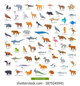 Animals of Asia Collection. Cartoon style vector illustration
