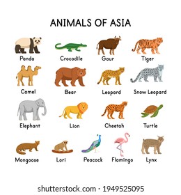 Animals of Asia: panda, crocodile, tiger, camel, bear, leopard, snow leopard, elephant, lion, cheetah, turtle, lori, gaur, mongoose, peacock, flamingo, lynx on a white background.Flat cartoon.